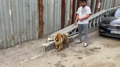 Kocaeli Gebze'deki hurda deposunda çıkan yangın kısa sürede büyüdü. İtfaiye