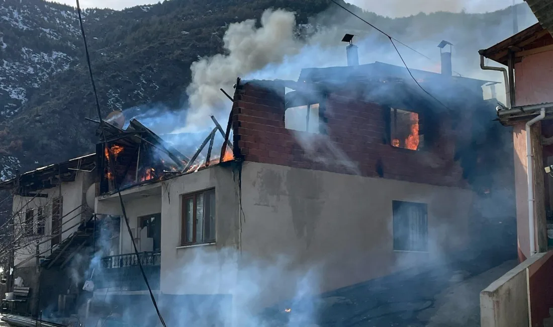 Mescitli köyünde çıkan yangında Ayten Yiğit'e ait bahçede yakılan kuru