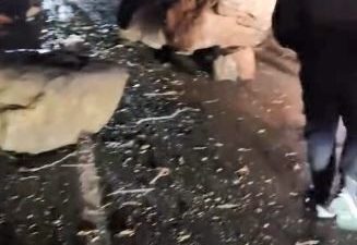 Gürcistan'ın Sarpi bölgesinde meydana gelen heyelan sonucu dev kaya kütleleri