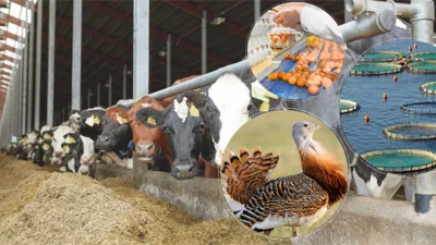 Tarım ve Orman Bakanlığının ilgili kuruluşu Tarım ve Kırsal Kalkınmayı