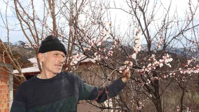 Doğu Anadolu Bölgesi'nde etkili olan kar yağışı, Ormanağzı Mahallesi'ndeki meyve