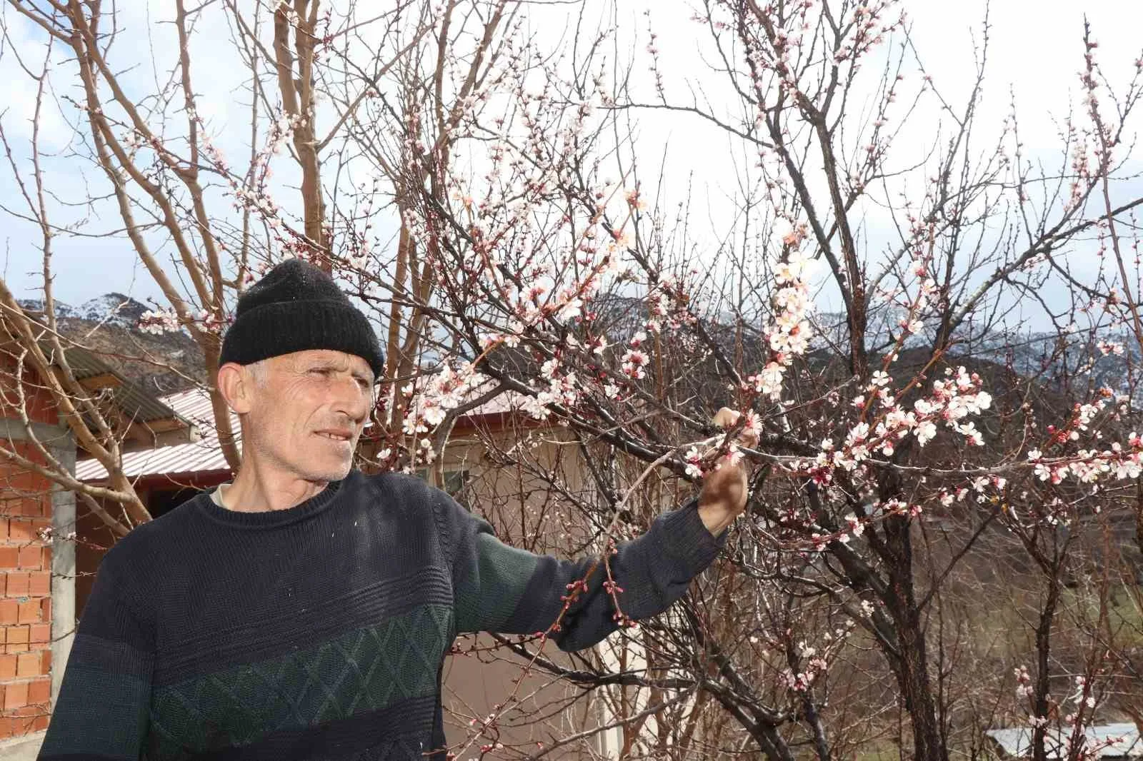 Doğu Anadolu Bölgesi'nde etkili olan kar yağışı, Ormanağzı Mahallesi'ndeki meyve