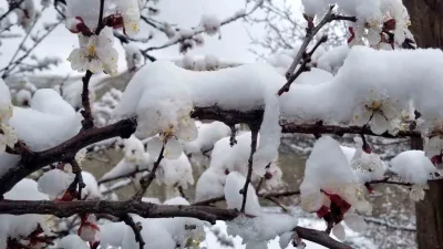 Doğu Anadolu Bölgesi'nde meydana gelen ani kar yağışı, Erzincan ve