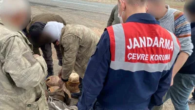 Kars'ta jandarma kaçak avcılara göz açmıyor. 10 kişi suçüstü yakalandı.