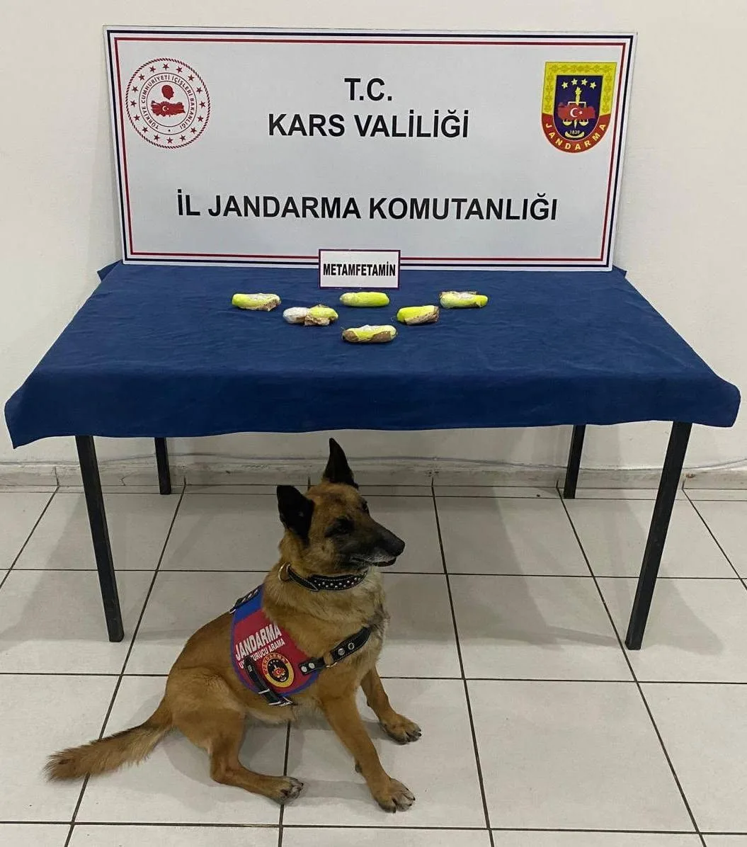 Kars İl Jandarma Komutanlığı, Digor ilçesinde yapılan yol kontrolünde, bir