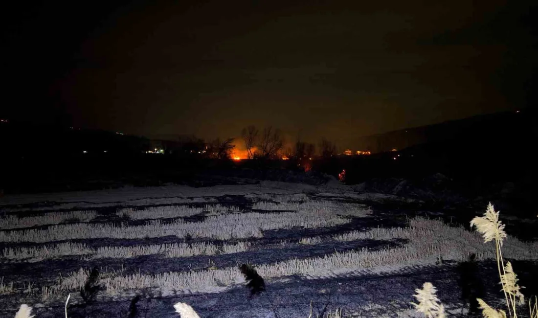 Kastamonu'nun Tosya ilçesinde çıkan yangında 150 dönüm tarım arazisi zarar