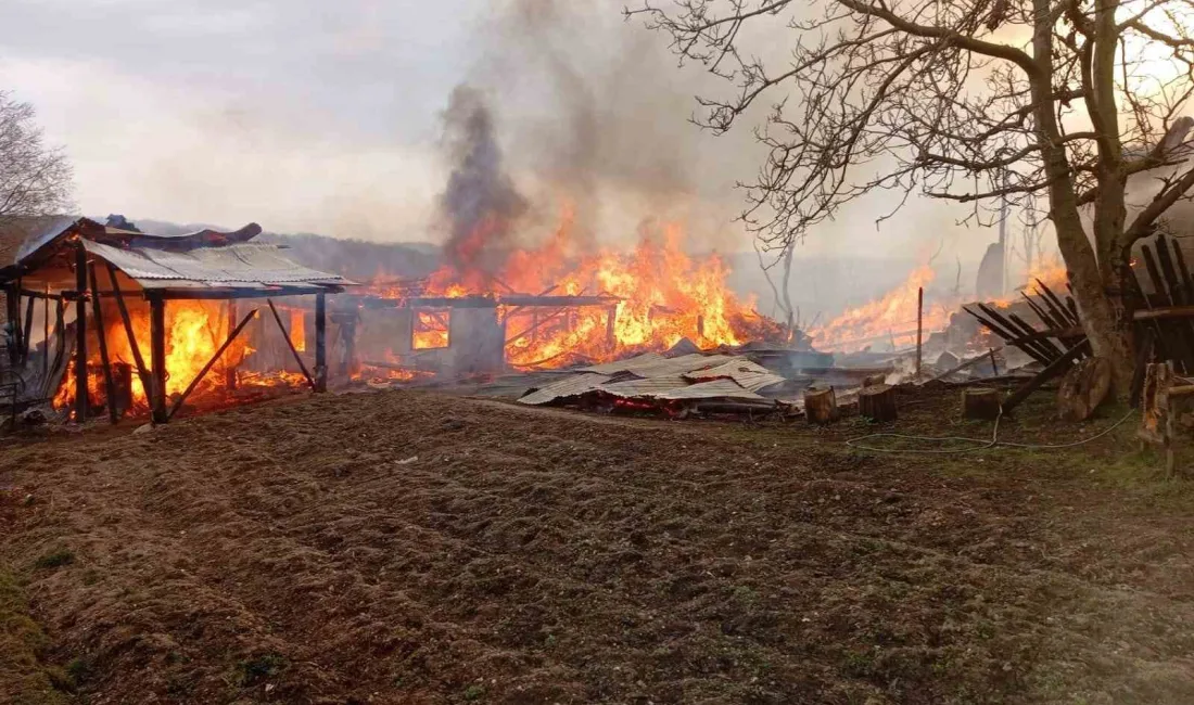 Taşköprü, Kastamonu'da çıkan yangında 4 ev ve ahır zarar gördü.