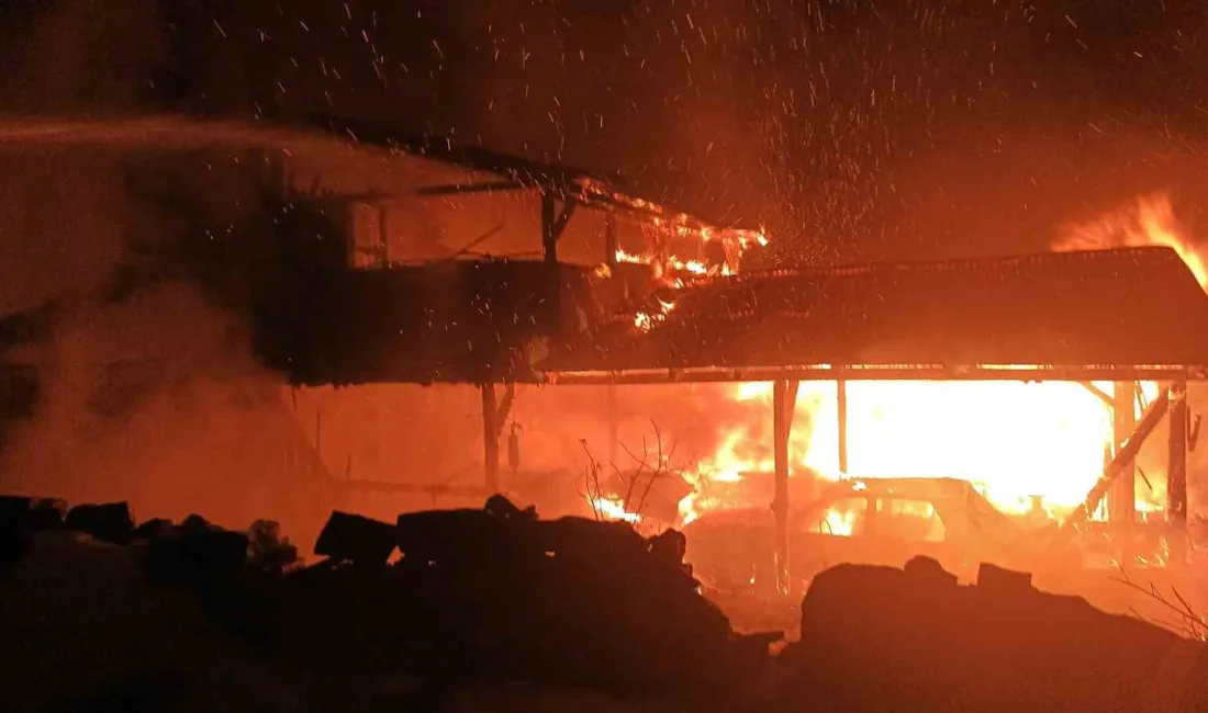 Kastamonu'nun Ağlı ilçesinde Asim Çelebi'ye ait garajda çıkan yangın, evin