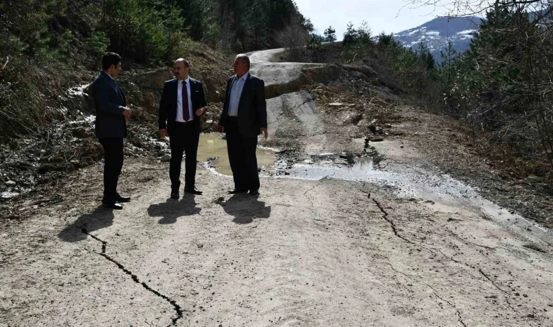 Kastamonu'nun Çatalzeytin ilçesinde sıcaklığın artmasıyla meydana gelen heyelanlar köy yollarında