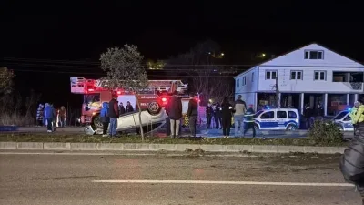 Zonguldak'ın Gökçebey ilçesinde meydana gelen kazada sürücü kadın, yol kenarına