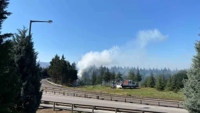 Kocaeli'de Karayolları Bölge Müdürlüğü ekipleri, TEM Otoyolu Körfez'de budama çalışması