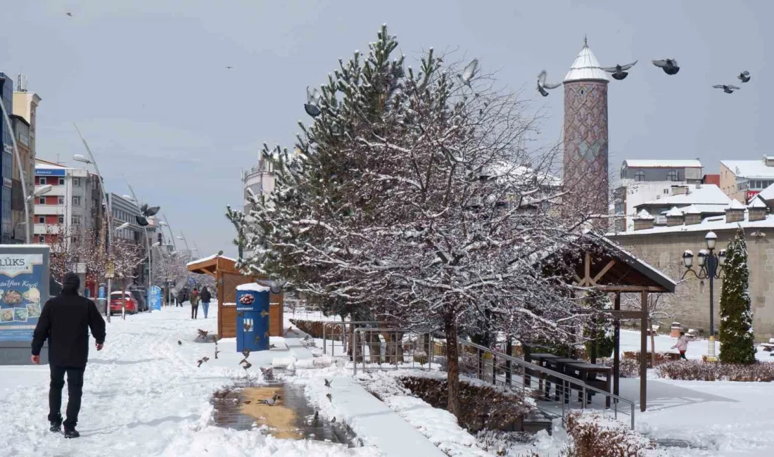 Erzurum'da yoğun kar yağışı etkili oldu; kent genelinde beyaz bir
