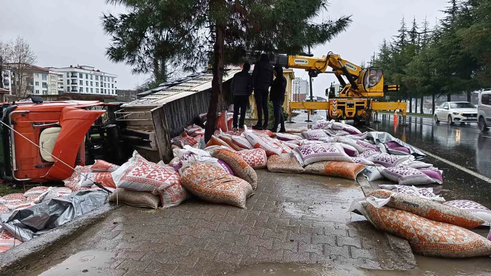 Gülyalı ilçesindeki trafik kazasında besi yemi yüklü tır devrildi, sürücü