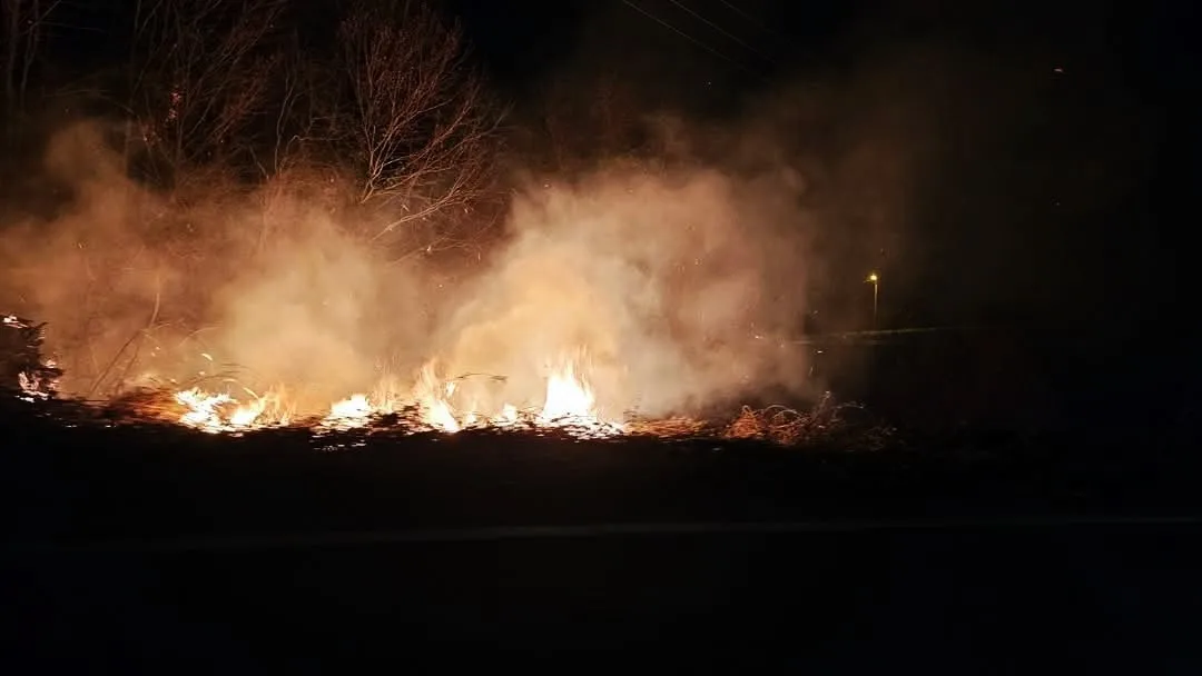 Sakarya'nın Kocaali ilçesinde gece çıkan orman yangını, itfaiye ekiplerince kontrol