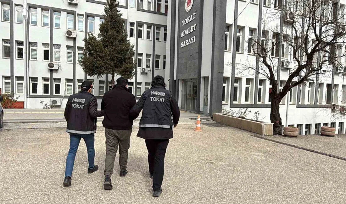 Tokat'ta O.K.'nin üzerinde bonzai yapımında kullanılan 25 gram hammadde, evinde