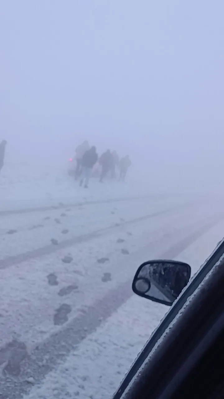 Erzurum Palandöken geçidinde meydana gelen yoğun sis ve tipi, birçok