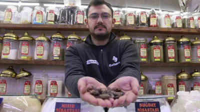 Ramazan ayında sigara içme isteğini azaltan karabaş otu, sigara bırakmak