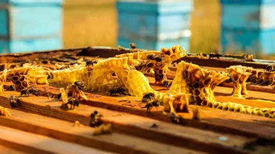 Erzincan'ın Refahiye ilçesinde yeni bir atölye kuruldu. Yılda 2 milyon