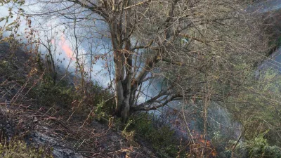 Rize Dağsu Mahallesi'nde çıkan anız yangını, hızlı bir şekilde itfaiye