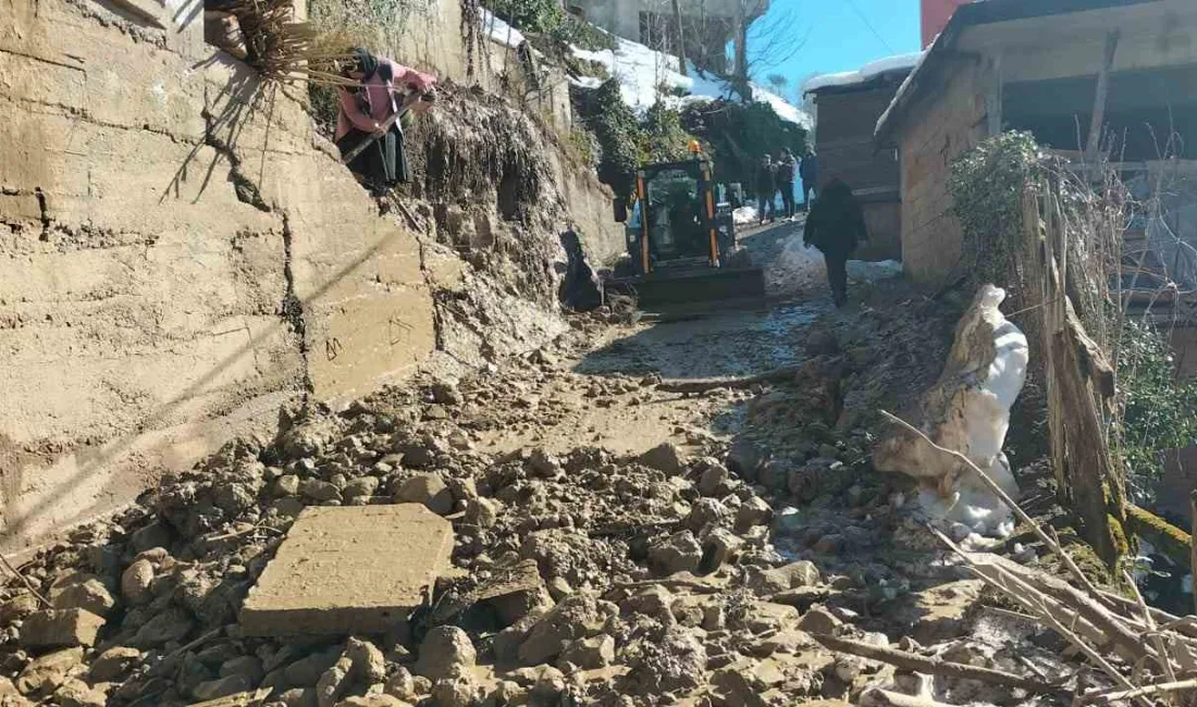 Rize Ardeşen'deki Aşağı Durak köyünde yaşanan heyelan sonucu 4 ev