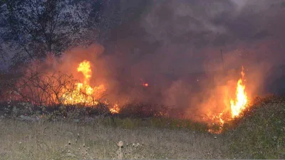 Sinop'ta Altıntepe mevkisinde çıkan orman yangını, hızla büyümeden itfaiye ekipleri