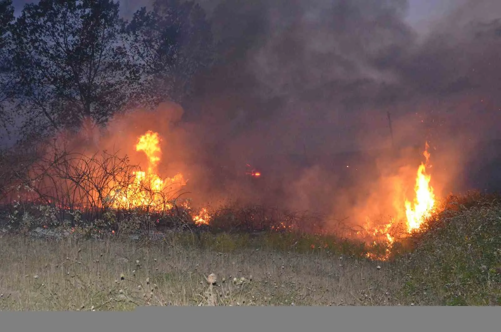 Sinop'ta Altıntepe mevkisinde çıkan orman yangını, hızla büyümeden itfaiye ekipleri