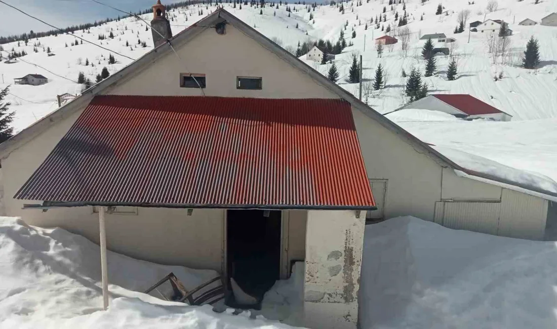 Sis Dağı Yaylası'nda çığ felaketi sonrası evleri zarar gören yaylacılar,