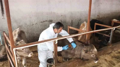 Sivas İl Tarım ve Orman Müdürlüğü, hayvancılık sektöründe önemli bir