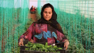 TÜİK verilerine göre, Tarım-ÜFE yıllık yüzde 29,89, aylık yüzde 2,70