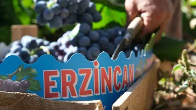 TÜİK'in açıkladığı verilere göre, Tarım-GFE yıllık yüzde 30,49, aylık yüzde