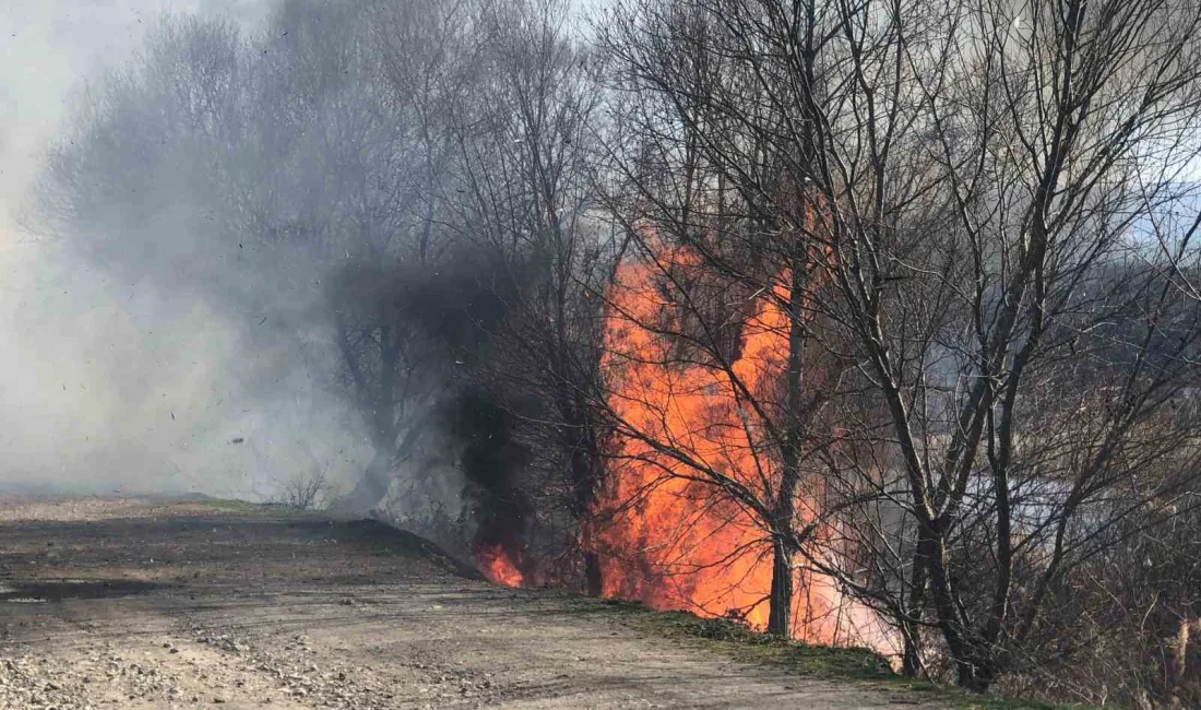 Taşova ilçesindeki Yeşilırmak Nehri kıyısındaki sazlık alanda çıkan yangın, hızla