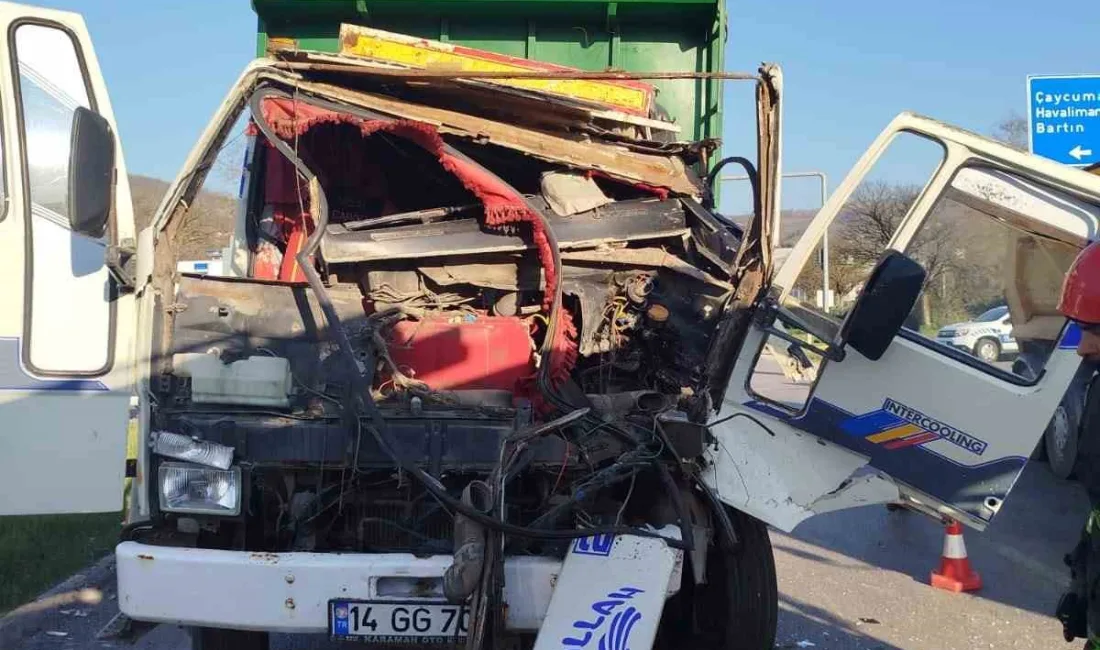 Zonguldak'ın Gökçebey ilçesinde meydana gelen kazada tavuk taşıyan tır, ışık