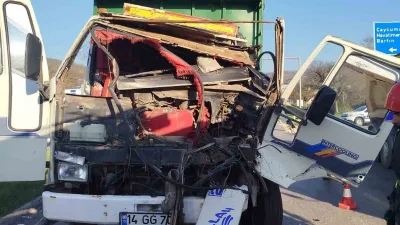 Zonguldak'ın Gökçebey ilçesinde meydana gelen kazada tavuk taşıyan tır, ışık