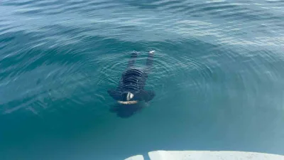 Trabzon'un Akçaabat ilçesi açıklarında yüzen bir erkek cesedi bulundu. Balıkçılar