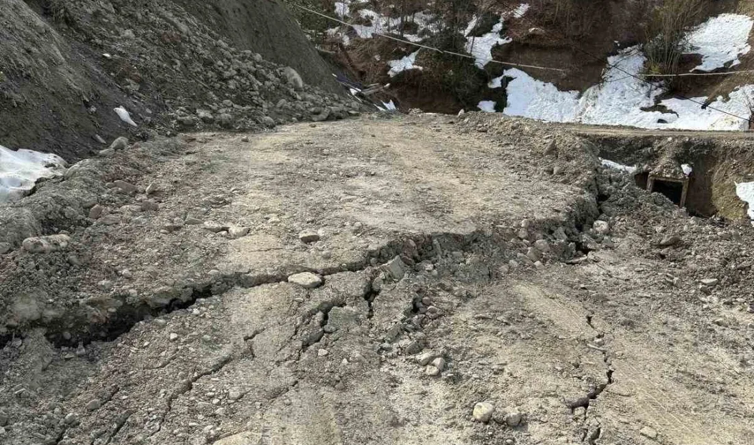 Sinop'un Türkeli ilçesine bağlı Sarmaşık köyünde meydana gelen heyelan sonucu