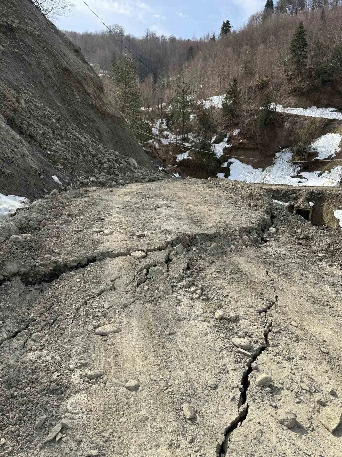 Sinop'un Türkeli ilçesine bağlı Sarmaşık köyünde meydana gelen heyelan sonucu