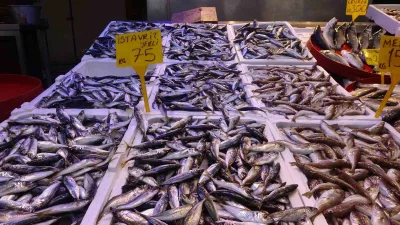 Doğu Karadeniz Balıkçı Kooperatifleri Birliği Başkanı Ahmet Mutlu, hamsi sezonunun
