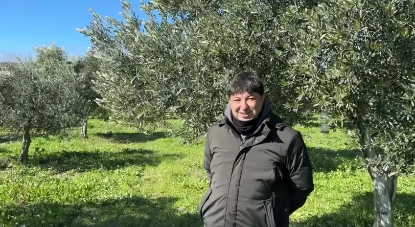 Soğuk hava dalgasının zeytin ağaçları üzerinde olumlu etkileri olacak. Sibirya