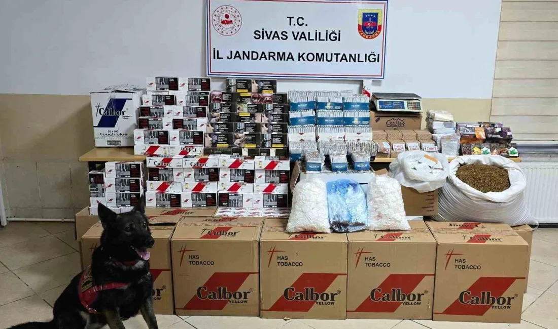 Sivas'ta kaçakçılık suçundan soruşturma açılan 53 kişiye binlerce kaçak sigara,