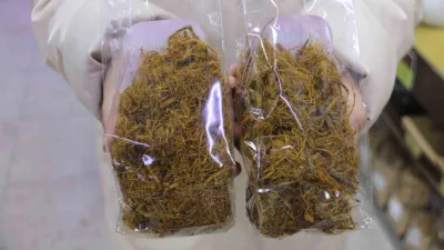 SBTÜ Öğretim Üyesi Prof. Dr. Tolga Karaköy, meyan kökünün vücut