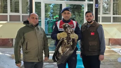 Sivas'ta jandarma ekipleri tarafından yaralı halde bulunan Kızılşahin ve vatandaşların