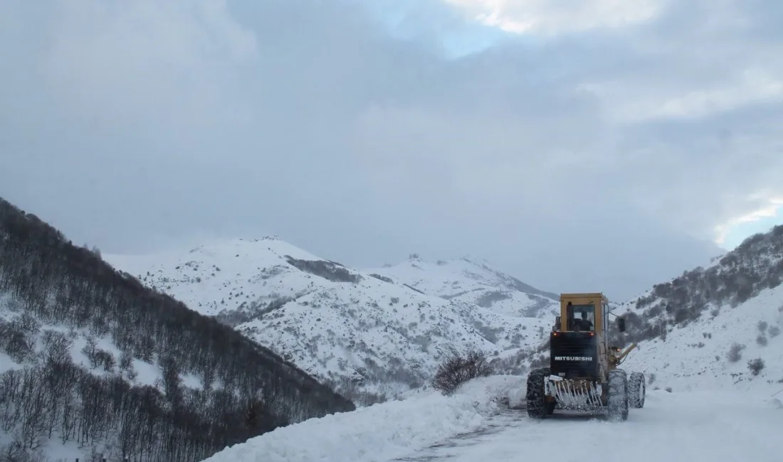 Bayburt'un yüksek kesimlerinde mart ayında kar yağışı etkili oldu. Meteorolojiden