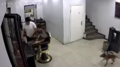 Kocaeli'de bir erkek kuaföründe köpeğin tıraş olan müşteriyi ısırdığı olay,