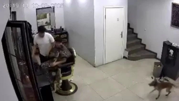 Kocaeli'de bir erkek kuaföründe köpeğin tıraş olan müşteriyi ısırdığı olay,