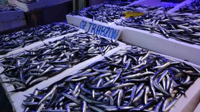 Türkiye’den balık avı sezonunda 20 ülkeye yapılan hamsi ihracatından toplam