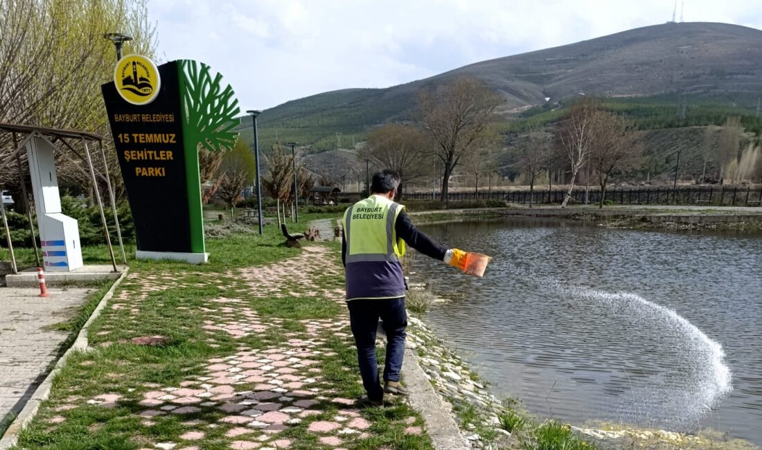 Bayburt Belediyesi Veteriner İşleri Müdürlüğü ekipleri tarafından bahar aylarının
başlamasıyla beraber