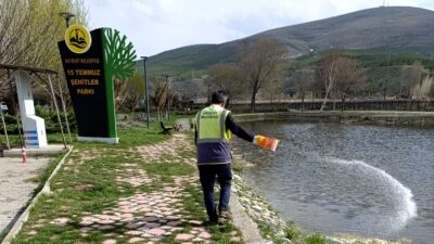 Bayburt Belediyesi Veteriner İşleri Müdürlüğü ekipleri tarafından bahar aylarının
başlamasıyla beraber