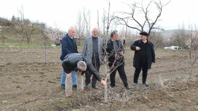 Erzincan’da yoğun kar yağışı nedeniyle doğada yiyecek bulmakta güçlük çeken