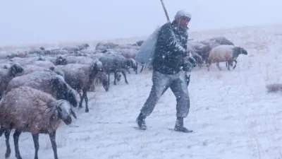 Ağrı genelinde etkisini sürdüren kar yağışı, kent merkeziyle birlikte kırsal