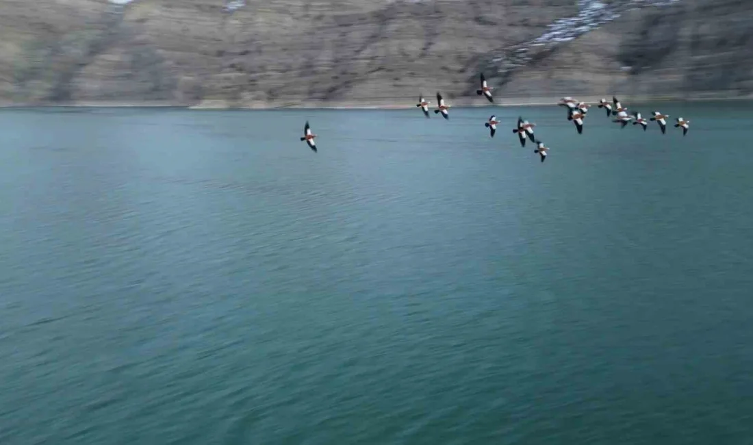Erzurum’un Uzundere ilçesinde bulunan Tortum Gölü, göçmen kuşların uğrak noktalarından